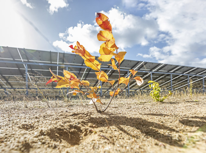 EnBW Solarpark Sophienhof Nord, errichtet auf stillgelegtem Kiestagebau, generiert 9 MW. Neustrelitz Sommer 2022 Neustrelitz