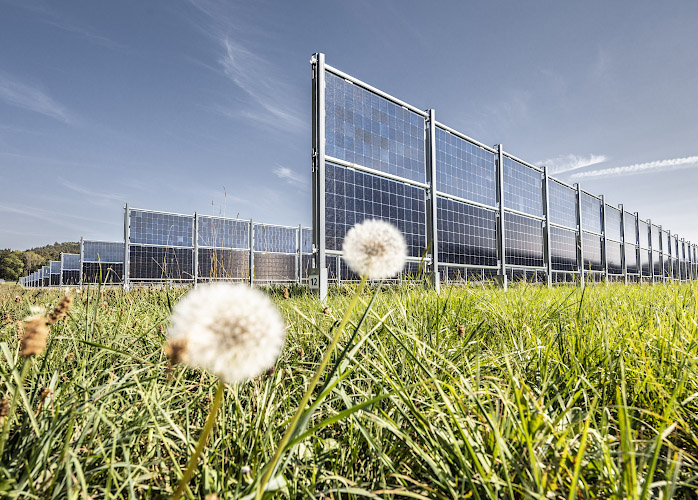 Bifaciales Solarkraftwerk Donaueschingen 2020