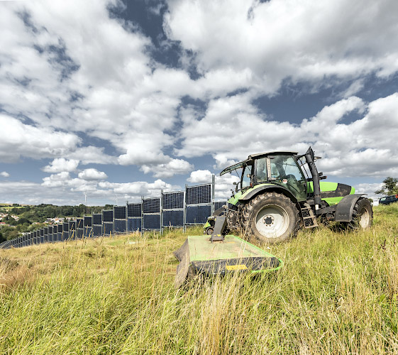 Agri-Photovoltaik im Bifacialen Solarkraftwerk von Next2Sun Eppelborn Dirmingen. Saarland, Deutschland 2021