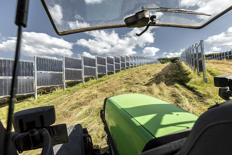 Agri-Photovoltaik im Bifacialen Solarkraftwerk von Next2Sun Eppelborn Dirmingen. Saarland, Deutschland 2021