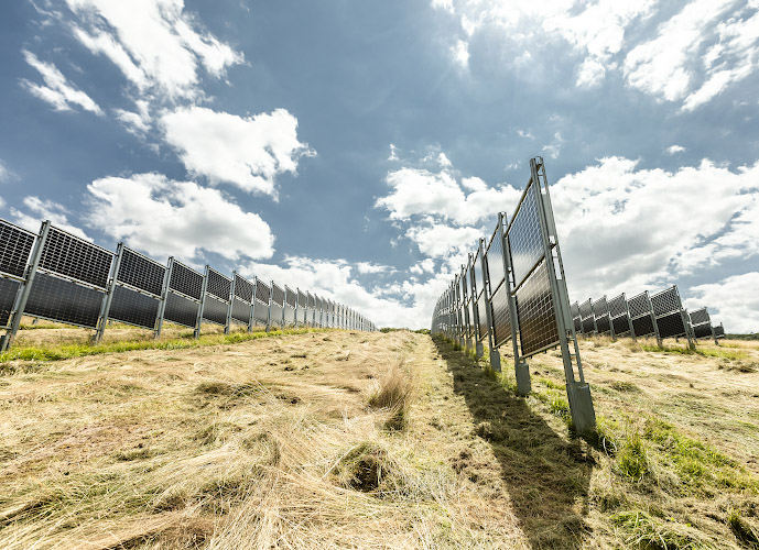Agri-Photovoltaik im Bifacialen Solarkraftwerk von Next2Sun Eppelborn Dirmingen. Saarland, Deutschland 2021