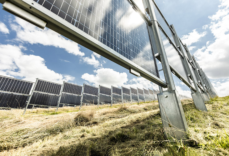 Agri-Photovoltaik im Bifacialen Solarkraftwerk von Next2Sun Eppelborn Dirmingen. Saarland, Deutschland 2021