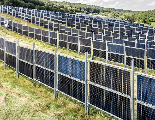 Agri-Photovoltaik im Bifacialen Solarkraftwerk von Next2Sun Eppelborn Dirmingen. Saarland, Deutschland 2021