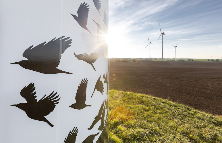 Kunst mit Vogelschwarm am Turm Vestas Windenergieanlage. Wollenthin 2022