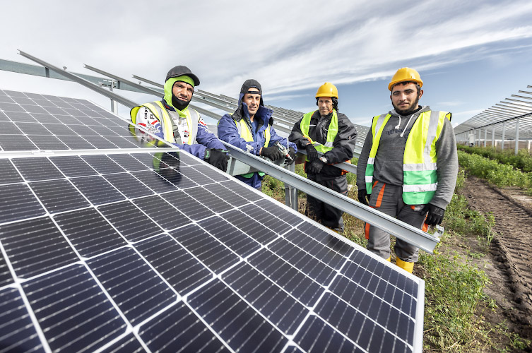 Errichtung EnBW Solarpark Alttrebbin 2021-2022