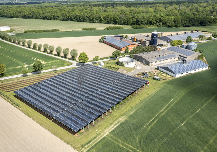 Agriphotovoltaikanlage von Energielandwirt Josef Kneer. Anpflanzung von Himbeerpflanzen, Heidelbeerenpflanzen und Aepfelstraeucher in offenem Gewaechshaus unter Solardach. Bueren, Nordrhein Westfalen 2022