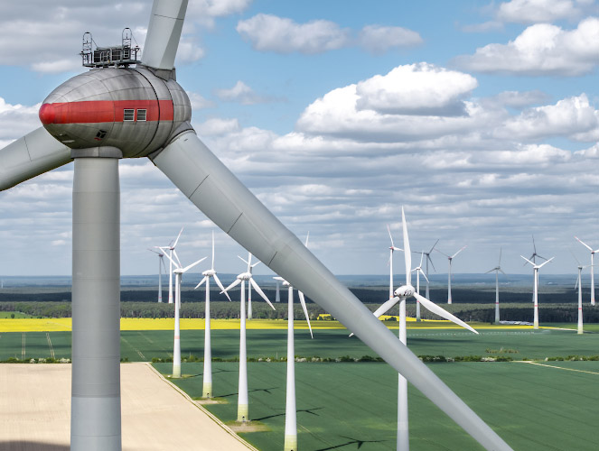 Windpark am Energieautarken Dorf Feldheim. Deutschland 2025