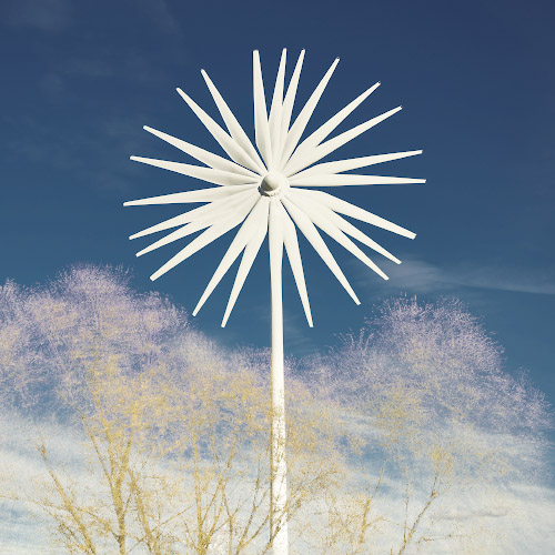 Windy Flowers Palm Trees & Dandelions. Germany Spring 2026