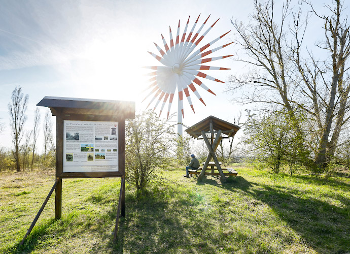 Windy Flowers, Palm Trees and Dandelions. Windenergie im Land Brandenburg, Germany. Spring 2026