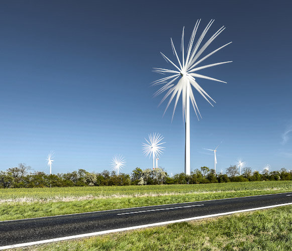 Windy Flowers, Palm Trees and Dandelions. Windenergie im Land Brandenburg, Germany. Spring 2026