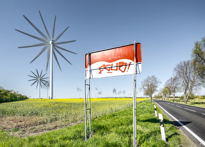 Windy Flowers, Palm Trees and Dandelions. Windenergie im Land Brandenburg, Germany. Spring 2026