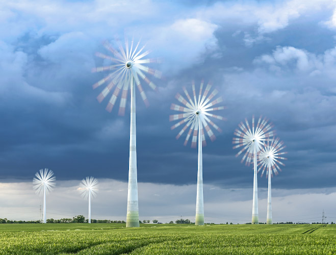 Windy Flowers, Palm Trees and Dandelions. Windenergie im Land Brandenburg, Germany. Spring 2026