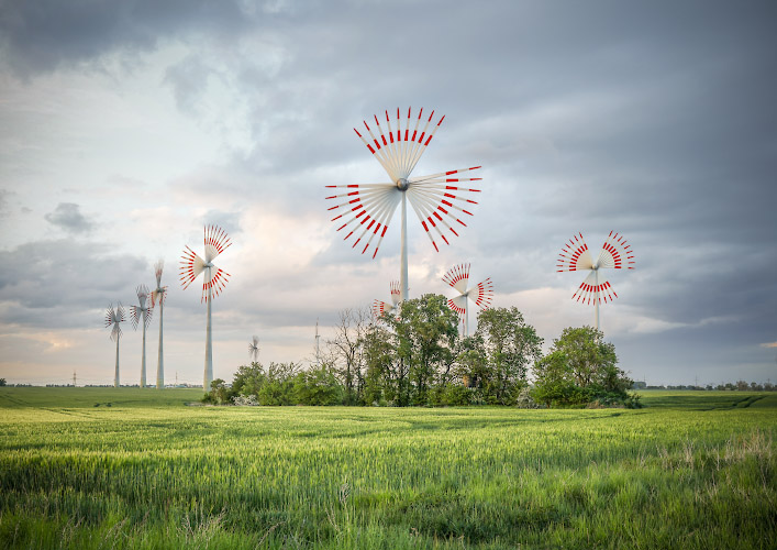 Windy Flowers, Palm Trees and Dandelions. Windenergie im Land Brandenburg, Germany. Spring 2026